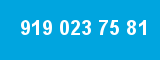 919 023 75 81 919 023 75 81